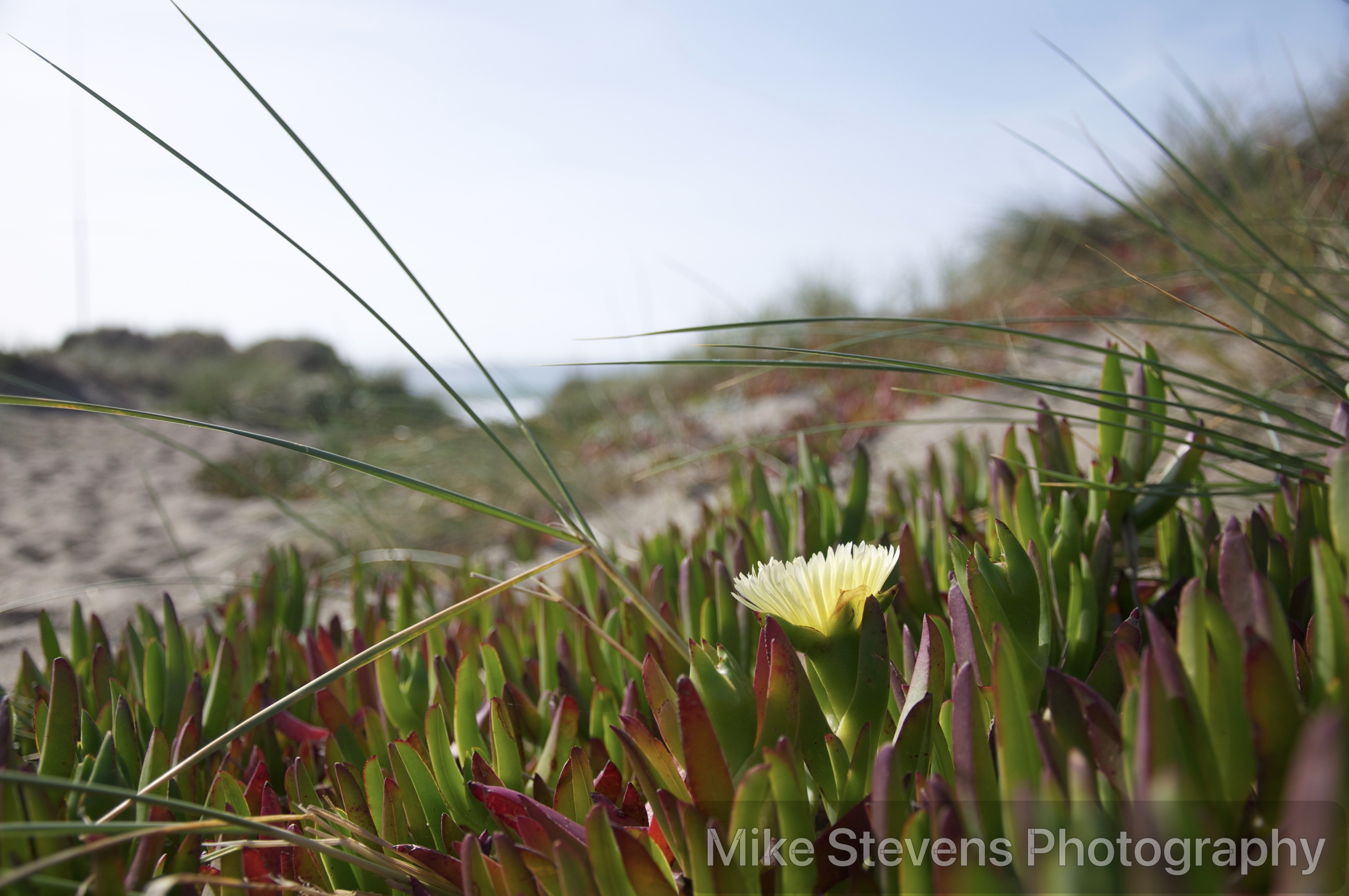 Afterglow Live Session